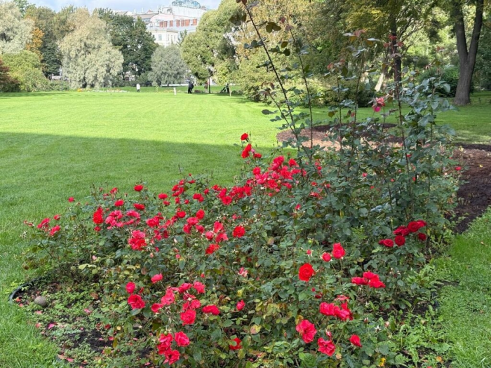 Эксперты назвали главные проблемы благоустройства Петербурга