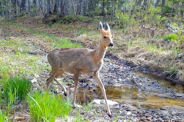 Где отдыхать в июле 2026 года? Лучшие направления в России и за границей
