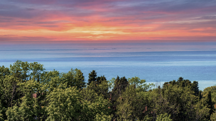 Долго и очень счастливо: как видотерапия меняет индустрию гостеприимства