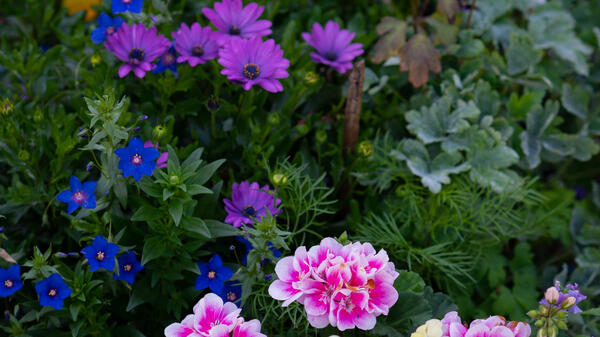 Turogo.ru - Туризм, охота и рыбалка