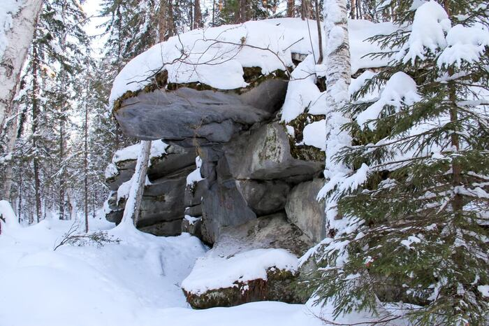 Любите путешествовать на электричке?