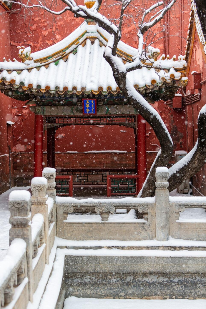 Шум, дзен и долг: как Новый год раскрывает культурный код Азии