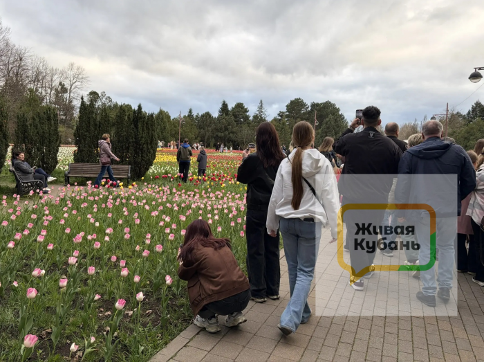 Вытаптывают клумбы и оставляют горы мусора: как выглядит дендрарий Краснодара во время цветения тюльпанов