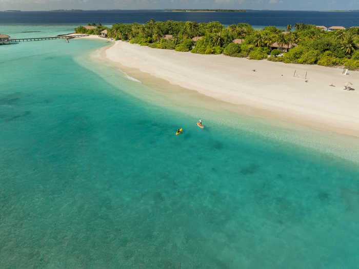 Победить стресс, подружиться с черепахой и прикоснуться к Луне: чем заняться в отпуске в апреле 2026