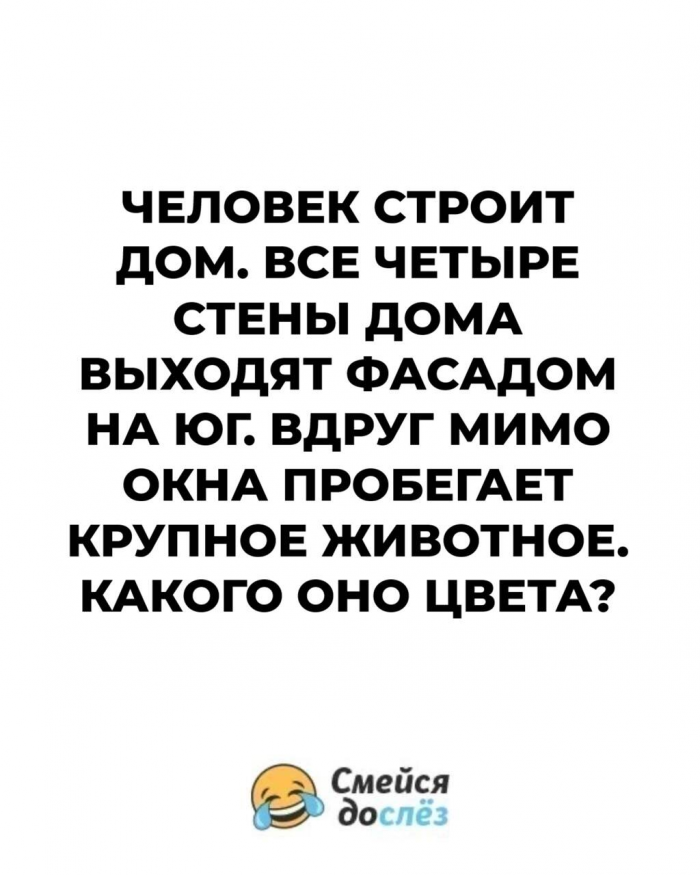 Не зевай, решай: 15 увлекательных загадок