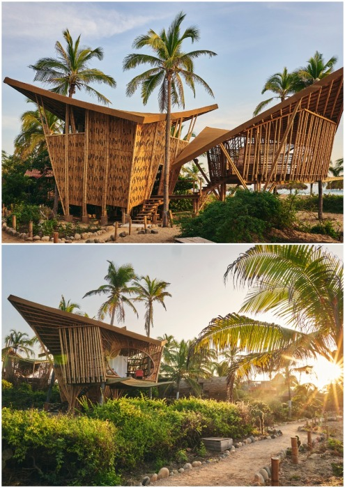 Бамбуковые домики на деревьях, которые не требуют подключения к коммуникациям