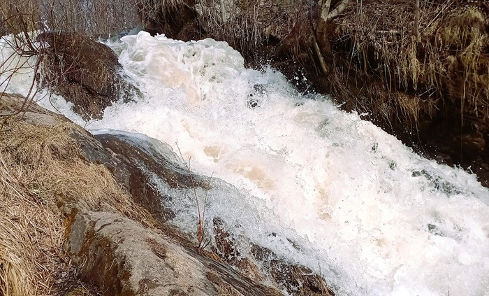 Любите путешествовать на электричке?