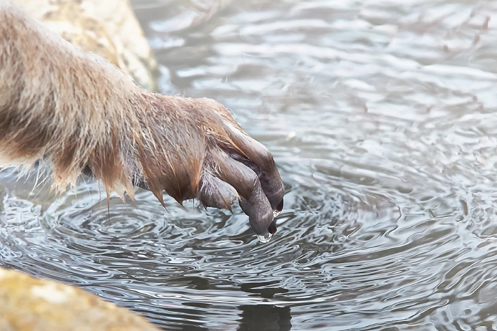 Turogo.ru - Туризм, охота и рыбалка