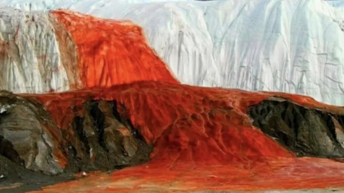 ​​Пляж из стекла и танцующий лес: редкие фотографии удивительных мест Земли