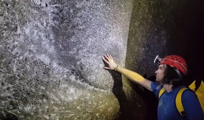 15 интересных фактов как доказательство, что всё не так банально, как кажется