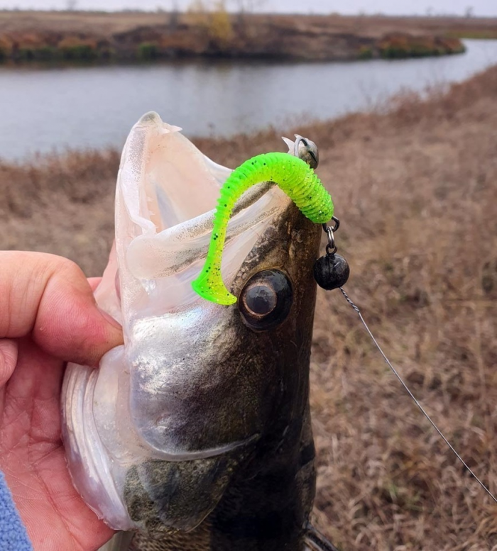 Размер приманок имеет значение