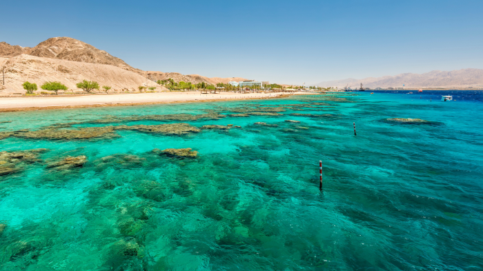 Рожденное дважды: геологическая история Красного моря