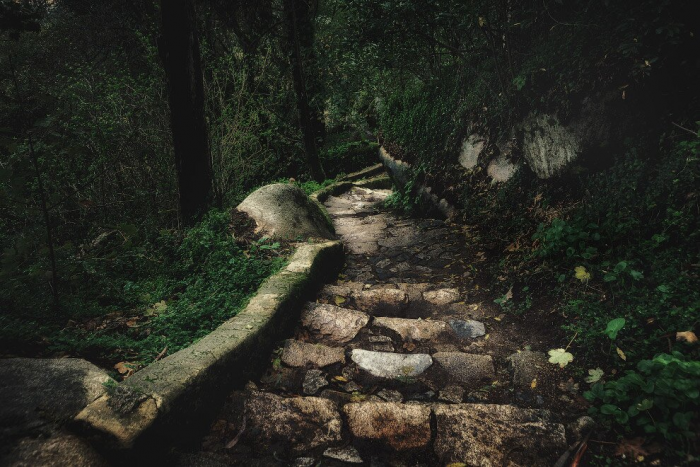 Загадочная Португалия: от портвейна к столице
