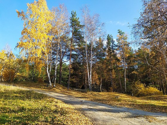 Что посмотреть в Екатеринбурге в 2026 году? Путеводитель по лучшим местам: список и описание достопримечательностей