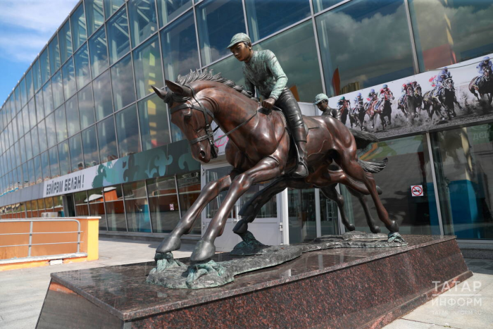 Лошади в городе: где в Татарстане искать символ года, чтобы попросить удачи