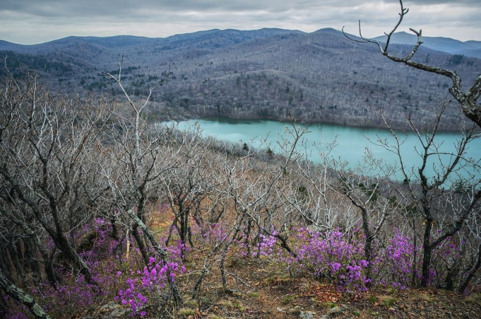 Большой путеводитель по Приморью: 10 мест, куда отправиться в путешествие