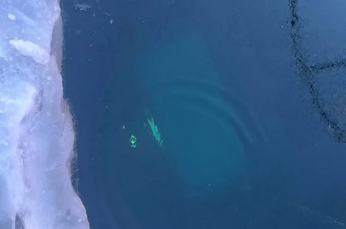 Машину вел шаман: стали известны новые детали гибели туристов на Байкале