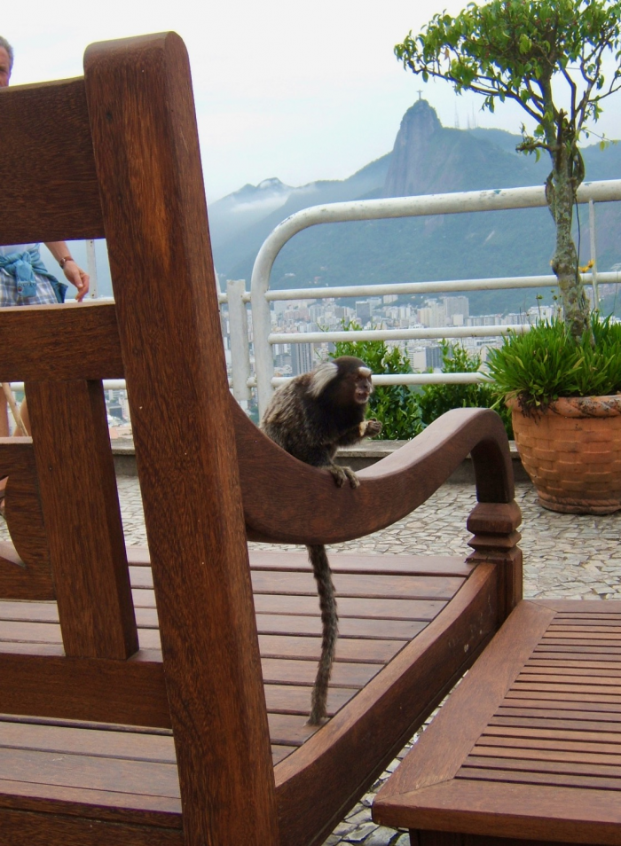 Королевские Педру и красивые Педро (часть первая о Бразилии)