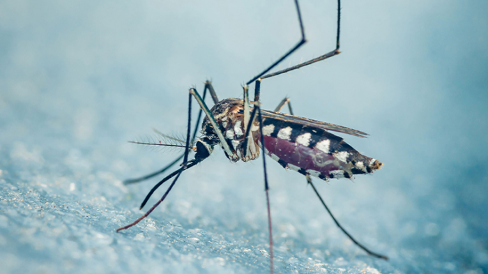 Растет риск заражения? Опасно ли россиянам лететь отдыхать на Бали