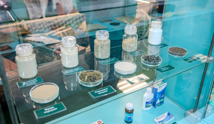 Арктические водоросли: природный биоресурс будущего