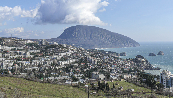 История медведей в Крыму: от доисторических до современных времён