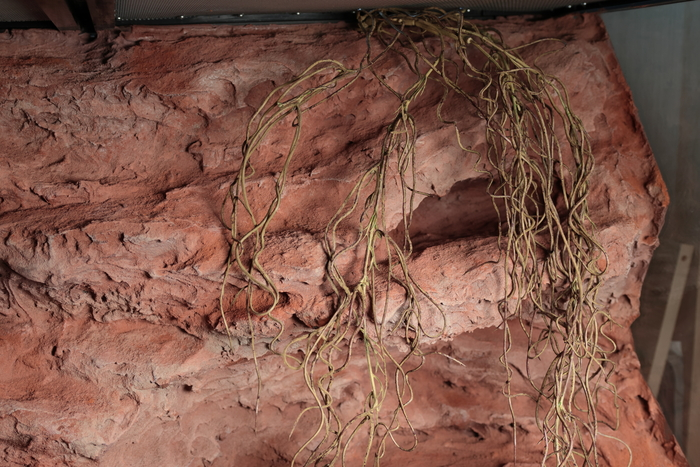 Первый террариум для первой змеи