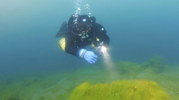 Археологи обнаружили на Майорке римский торговый корабль возрастом 1,7 тыс. лет