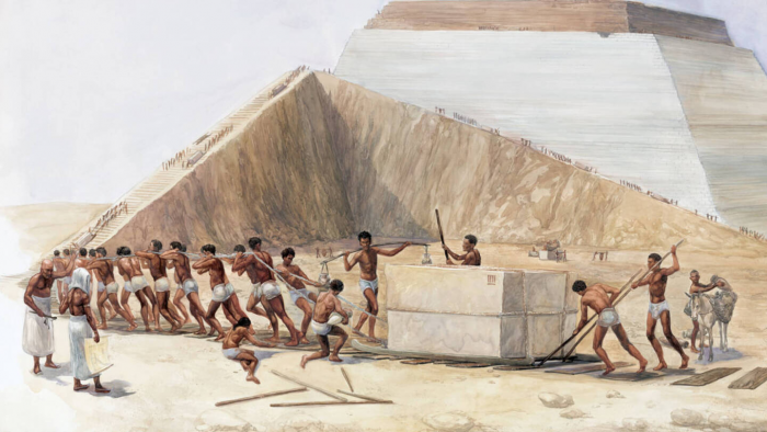 Сквозь снег и песок: удивительная история саней