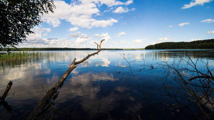 5 озер, в которых нельзя купаться, хотя вода в них не ядовитая