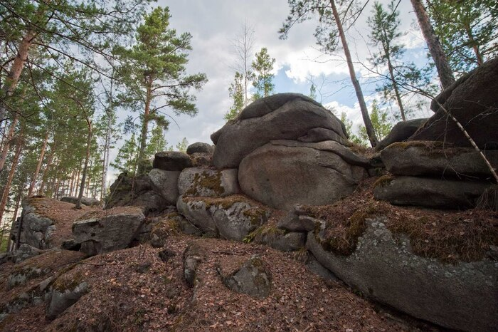 Любите путешествовать на электричке?