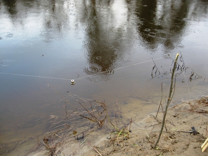 Пришло время налима