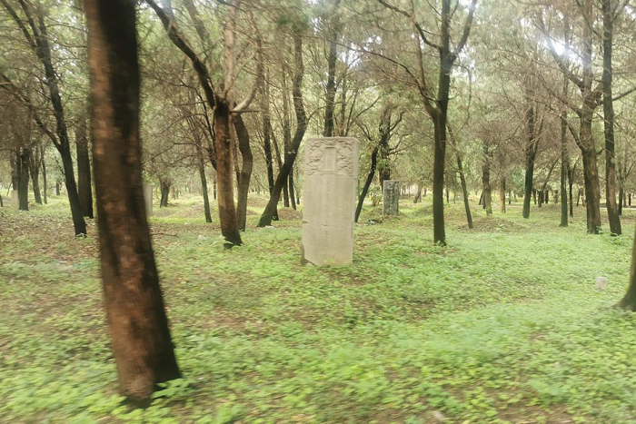 Россияне массово устремились в Китай на Новый год. Там их ждет «пивозаправка», улица роботов и родина Конфуция