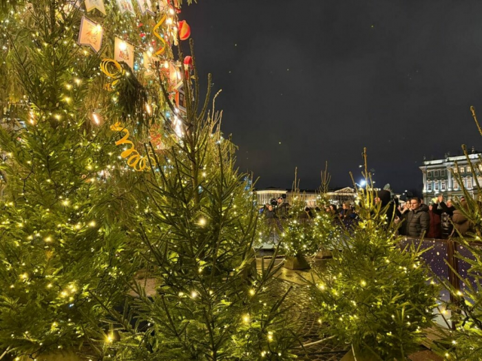 На Дворцовой площади зажгли главную новогоднюю ель Петербурга