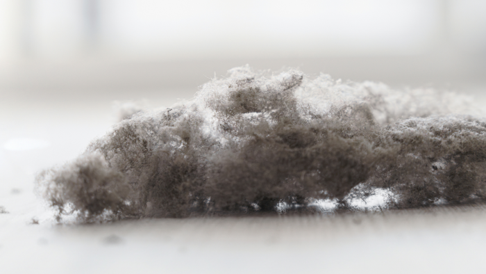 Правда ли, что пыль — это частицы человеческой кожи