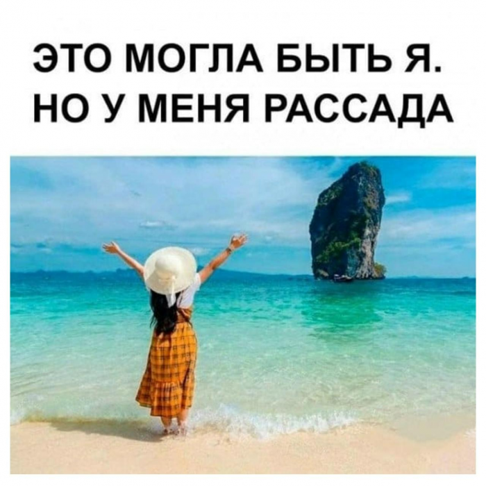 Смешные мемы и картинки о море