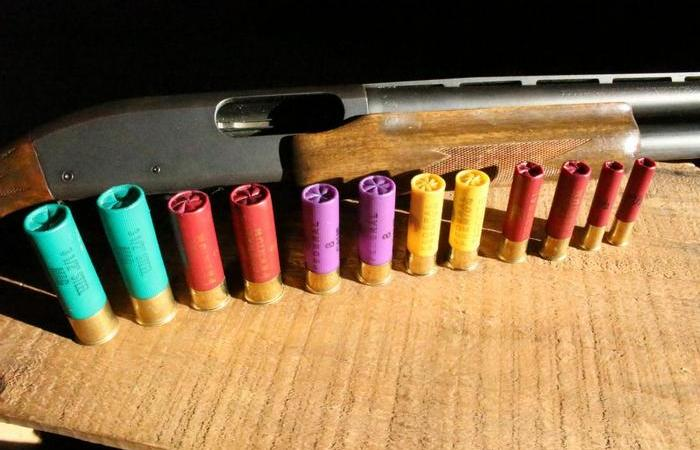 Почему мелкие калибры для охотничьих ружей почти исчезли