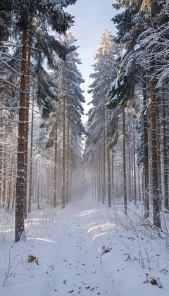 Красивые зимние обои для телефона: 80+ вертикальных картинок на заставку для уютного настроения