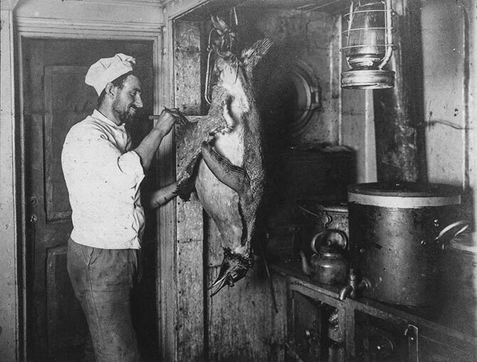 Пленники льдов Антарктики