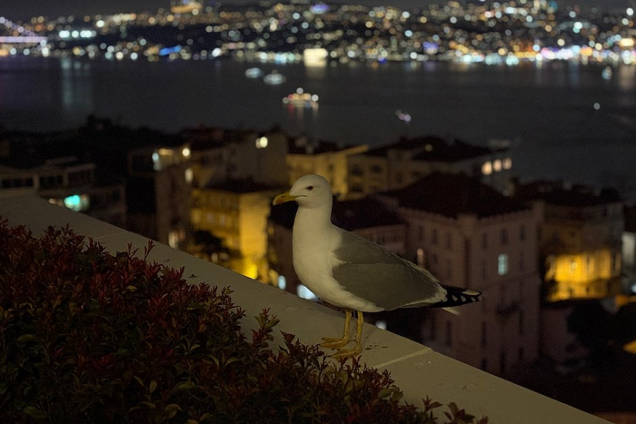 Постучись в его дверь. Как провести незабываемые выходные в турецком городе, который заменил россиянам Париж и Дубай