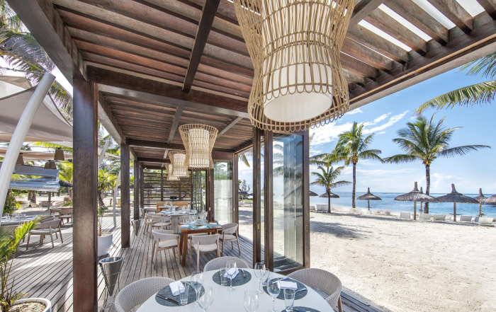 Победить стресс, подружиться с черепахой и прикоснуться к Луне: чем заняться в отпуске в апреле 2026