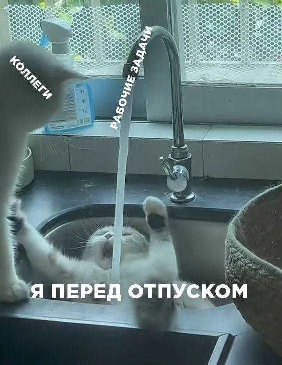 Смешные мемы и картинки про отпуск и отдых