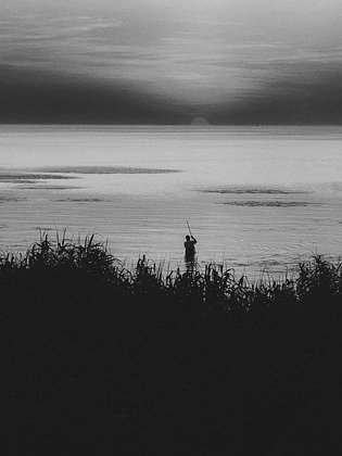 «Простая, но глубокая красота вещей» Какими оказались лучшие фотографии года, сделанные на iPhone?