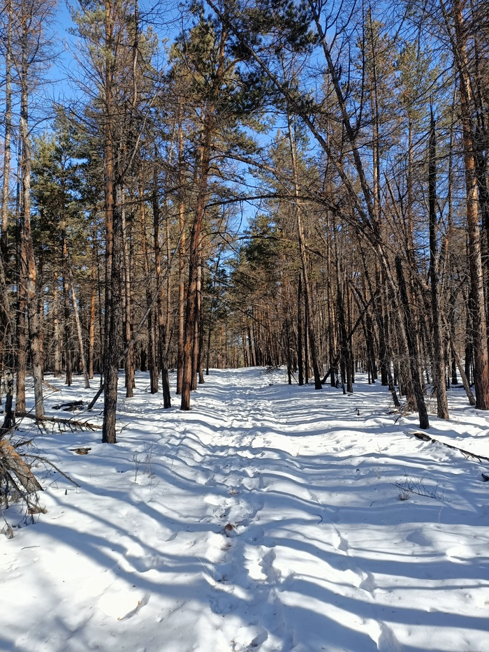 Байкал. Февраль 2023. День 6. Один на один (более 30 км пешки)