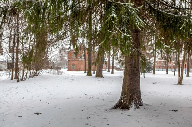 Куда сходить и что посмотреть в Санкт-Петербурге в январе 2026 года: 20+ идей для прогулок одному, с друзьями и семьей