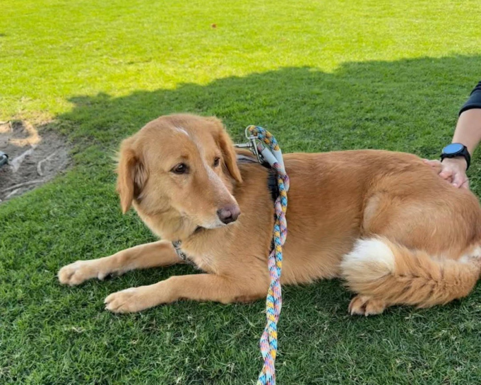 Интересные факты о Ла-Манше, где неожиданно появилась российская подлодка.