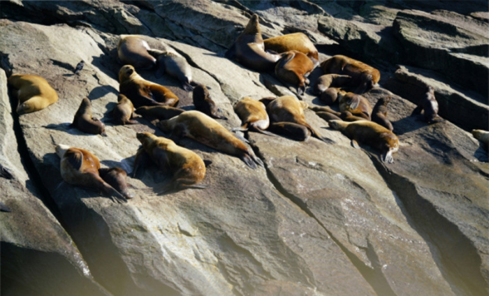 В 1809 году моряка вынесло на скалу посреди океана