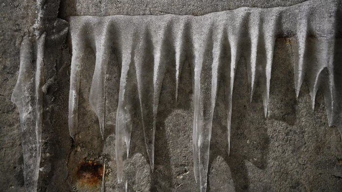 "Древнее зло пробудилось": находка в вечной мерзлоте ужаснула ученых