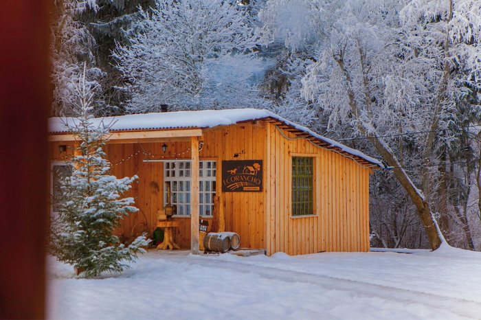 Альпаки, капуцины и лошади: отели России с собственными фермами