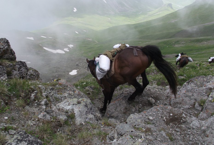 «Закрой глаза и держись за седло» Россиянка преодолела верхом на коне самые труднодоступные маршруты России. Как ей это удалось?