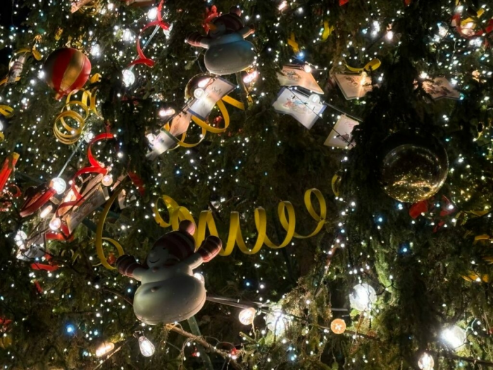 На Дворцовой площади зажгли главную новогоднюю ель Петербурга